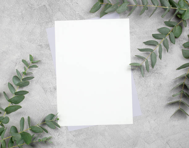 istock Blank paper on a concrete background with eucalyptus sprigs, invitation layout. Top view, flat lay 1327491433