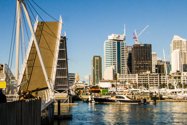istock Auckland city center 1327493638
