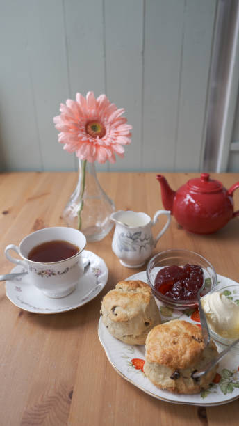 devon cream tea in brixham - brownie tea afternoon tea scone imagens e fotografias de stock