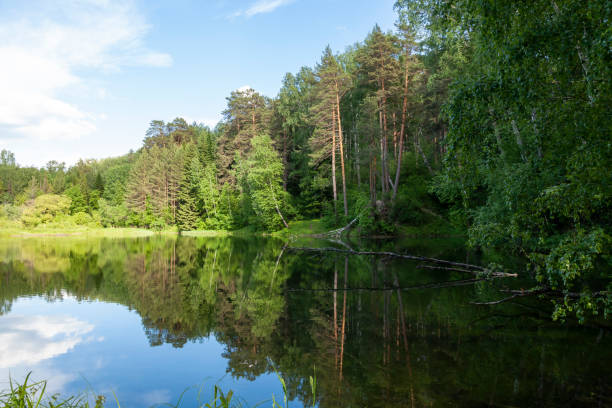istock Autumn landscape. Trees reflection on calm blue water. Green forest reflected in lake. Blue background. Clear sky. Tranquil place. Green coastline of island. Perfect reflection. Morning light. 1327501501