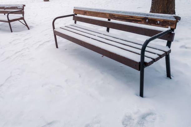 istock Park benches in winter season. 1327502272