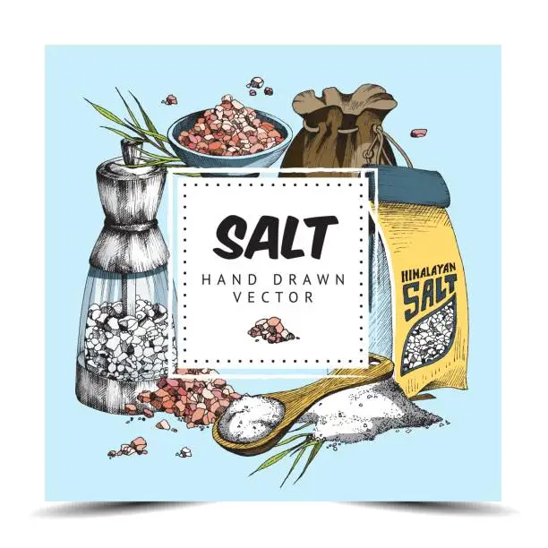 Vector illustration of Beautiful color label with food and bath salt a vector illustration.