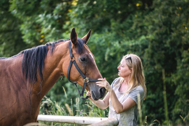 istock Woman with her horse on pasture 1327505144