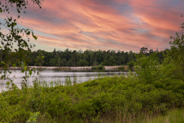 istock a pond with trees around and sunset sky 1327506054