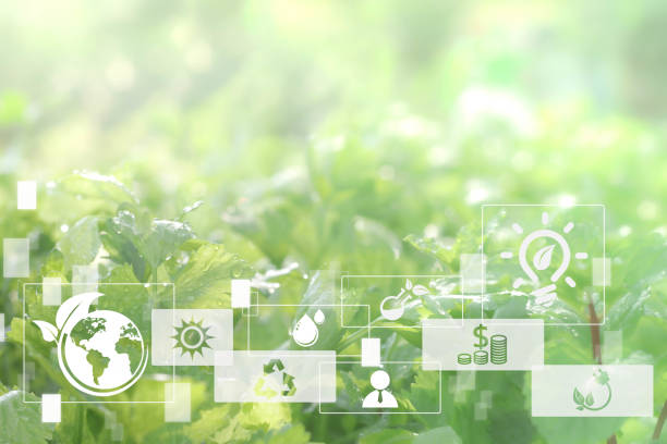 istock Blurred gentle light green plant background. Agriculture and technology abstract concept, Futuristic ai virtual icons with Sustainable energy, Alternative medicine, Natural herbal remedies, Free space 1327506233