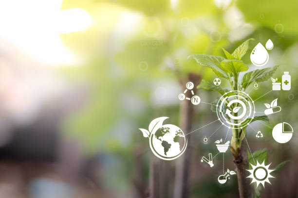 istock Blurred growup Mulberry tree background with Smart technology and nature concept, Internet of things with futuristic agriculture. Analysis Light, water and nutrients icon. 1327506234