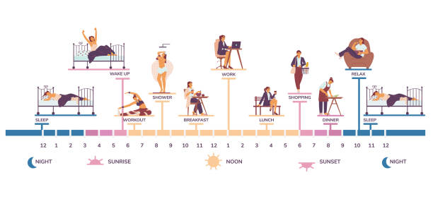 아침에서 밤까지 여자 매일 일상적인 인포 그래픽, 벡터 일러스트 고립. - routine stock illustrations