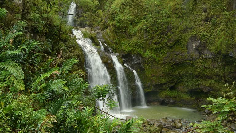 Waterfalls in Rainforest - A close-up view of a multi-tiered waterfall inside of a dense rain-forest at side of the Road to Hana Highway on a rainy afternoon, Maui, Hawaii, USA.