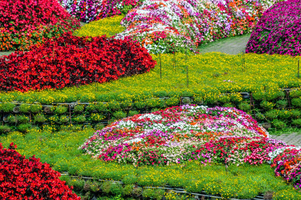 istock A brick stone pathway in vivid multi color blossom various flowers garden 1327512364
