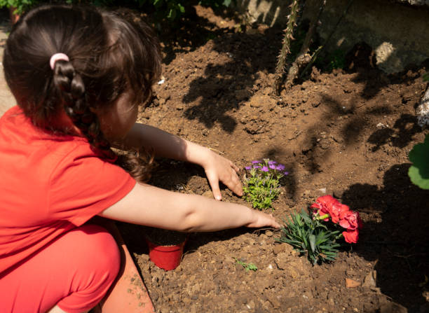 istock Planting Flowers Outside 1327513783