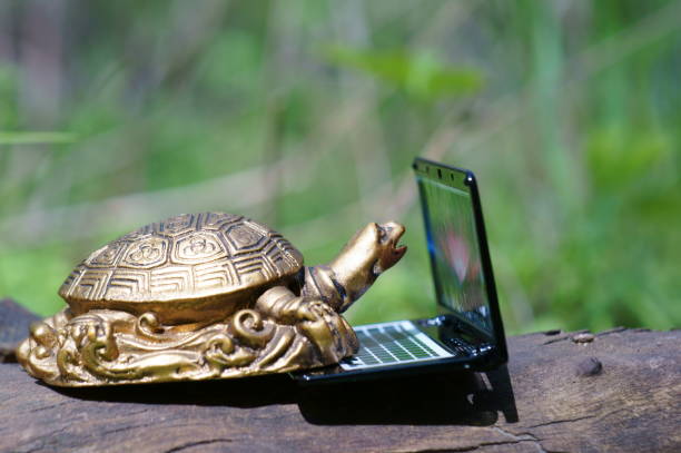 istock A turtle figurine with a toy laptop. 1327516543