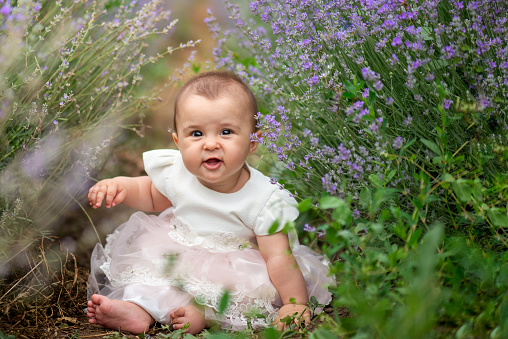 A beautiful little girl dressed in a white dress sitting in the middle of a lavender field