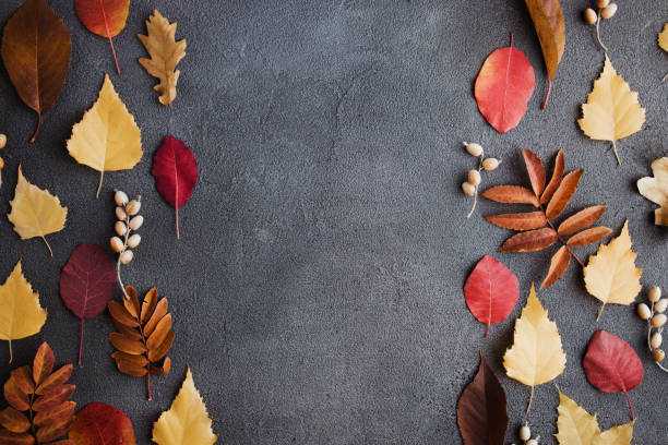 istock Autumn season floral abstract background 1327533936