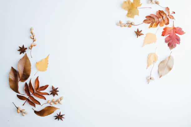 istock Autumn floral design composition of fall leaves 1327533937