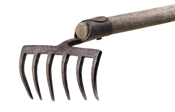 istock Old rusty rake for garden work. Household garden tools to rake the lawn. Isolated background. 1327536092