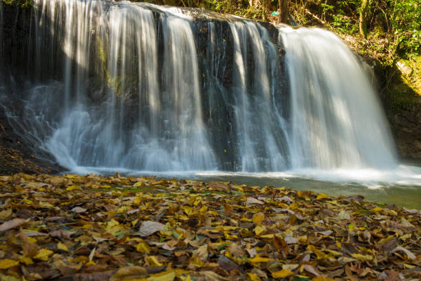 istock Autumn leaves of the waterfall 1327539794