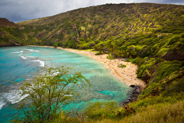 hanauma bay nature preserve, primeiro parque marinho no havaí, oahu, havaí, eua - hanauma bay hawaii islands oahu bay - fotografias e filmes do acervo