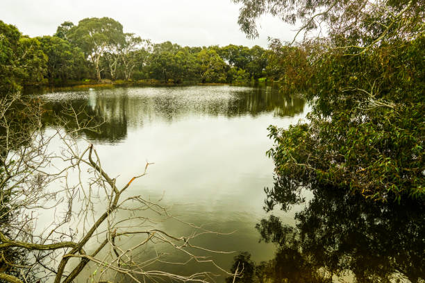 istock Rokewood, Victoria, Australia 1327540582