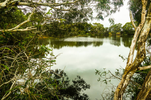 istock Rokewood, Victoria, Australia 1327540589