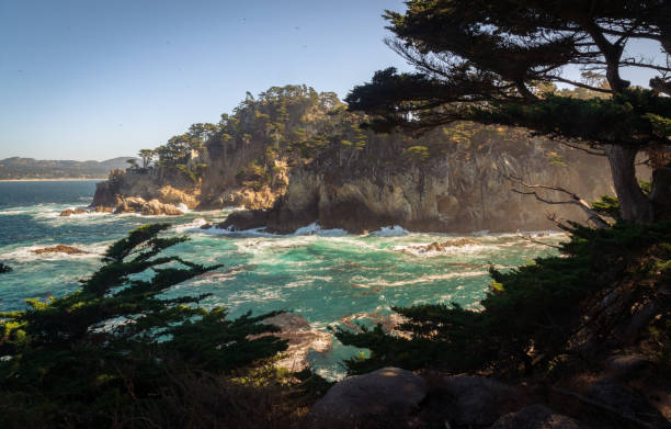 istock The coast at Point Lobos in California 1327540609