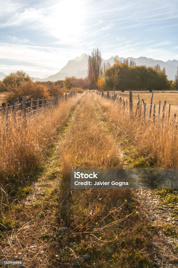 ROAD IN THE FIELD. A WAY AT SUNSET. CAR TRACKS ON A RURAL ROAD. TREVELIN. PATAGONIA ARGENTINA. Agricultural Field Stock Photo
