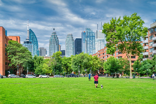 Man walks with dog in a park in downtown Toronto Ontario Canada on a sunny day.