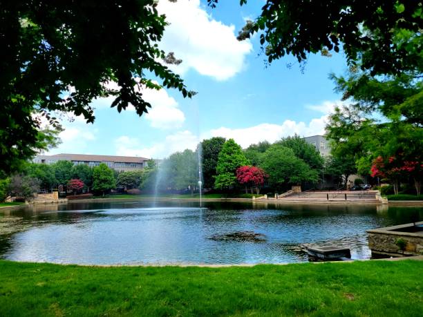 istock Crepe Myrtles and Landscaping at Shops at Legacy 1327546155