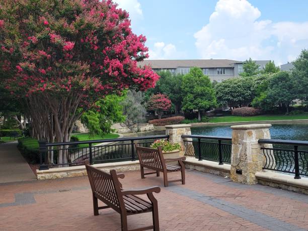 istock Crepe Myrtles and Landscaping at Shops at Legacy 1327546180
