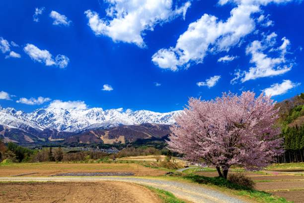 istock Spring scenery at Hakuba village in Nagano prefecture, Japan 1327552855