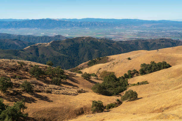 istock Fremont Peak State Park in California 1327557733