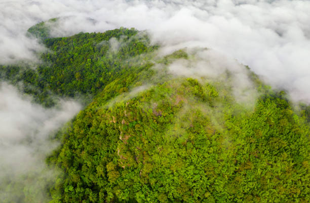 istock Sea of cloud 1327563378
