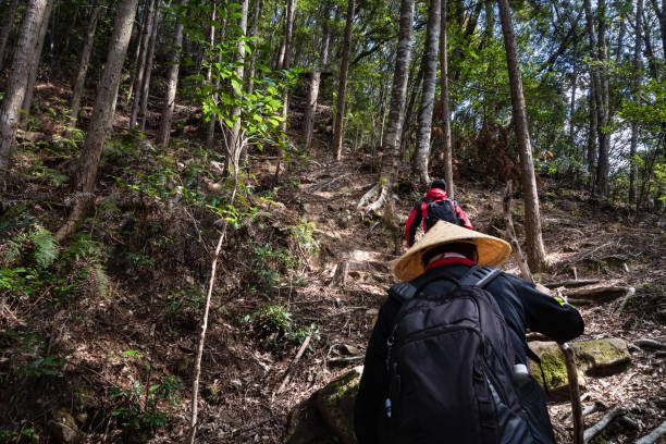 persone che indossano il tradizionale cappello di paglia giapponese che fa un'escursione sul sentiero kumano kodo. kumano kodo è una serie di antiche vie di pellegrinaggio che attraversano il kii hanto, la più grande penisola del giappone - kii foto e immagini stock