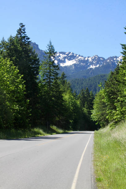 istock The Road To Olympic National Park 1327565195