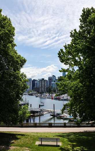 Bench with a view of Coal Harbour at Stanley Park