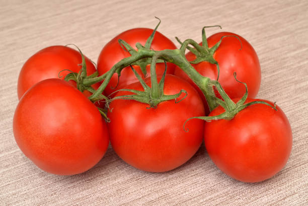 istock Ripe tomatoes on branch on the rustic wooden table 1327568096