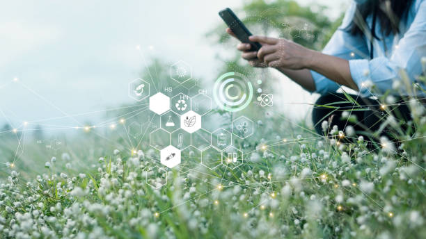 science of plant research, chromosome dna and genetic, development of plant varieties, scientist researching and experiments genetic of flower with record data on mobile phone in the meadow. - flower dna bildbanksfoton och bilder