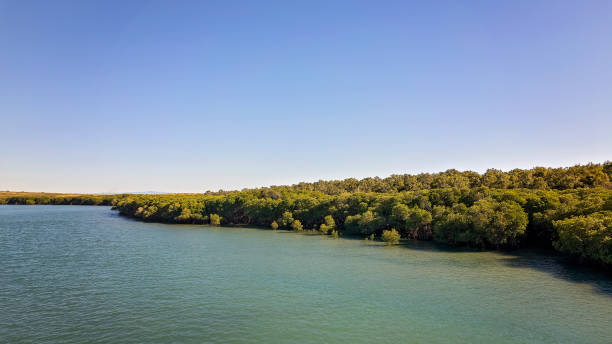 istock Creek Aerial Landscape 1327569545