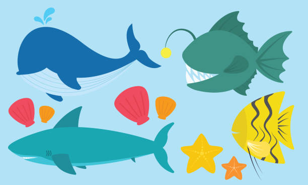 illustrazioni stock, clip art, cartoni animati e icone di tendenza di carino animale marino illustrazione set vettore nella collezione di stelle marine di squali pescatori di pesci balena vongola - anglerfish