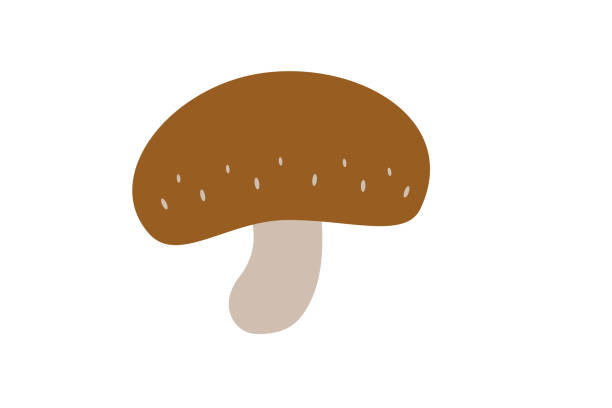 prosta i urocza ilustracja wektorowa shiitake - grzybobranie stock illustrations