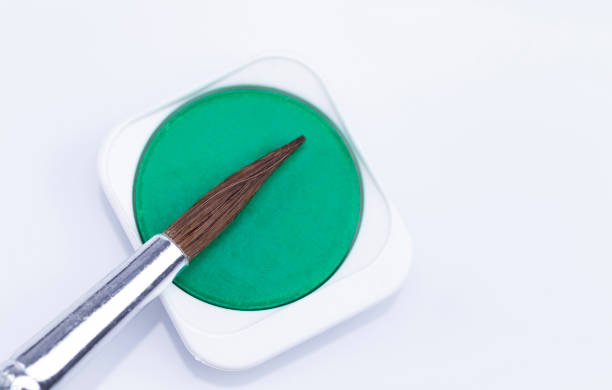 Painting wooden surface with a paintbrush