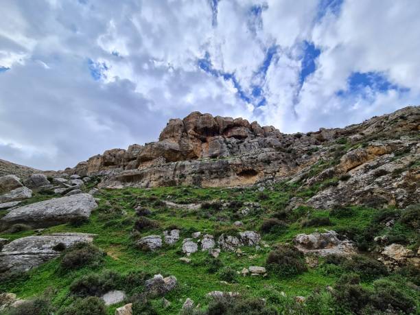 istock Tkoa stream in spring, Gush Etzion, Israel 1327578592