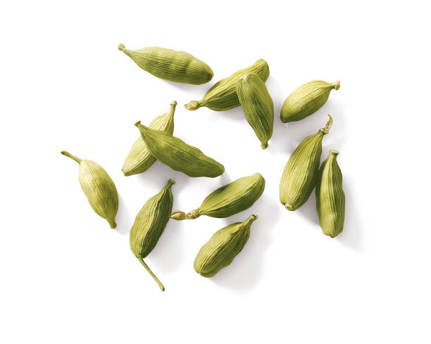 Cardamom pods isolated on white background. Top view Scattered cardamom pods. cardamom stock pictures, royalty-free photos & images
