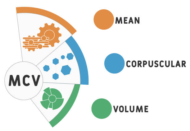 istock MCV - Mean Corpuscular Volume acronym. medical concept background. 1327579663