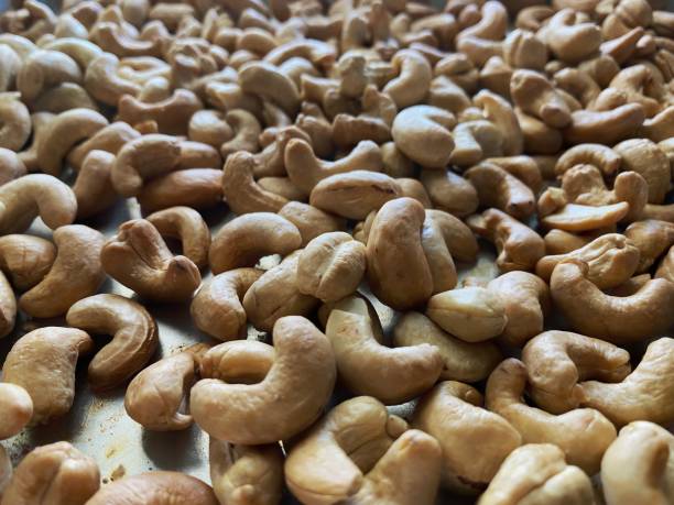 cashew nuts - healthy eating macro close up nut imagens e fotografias de stock