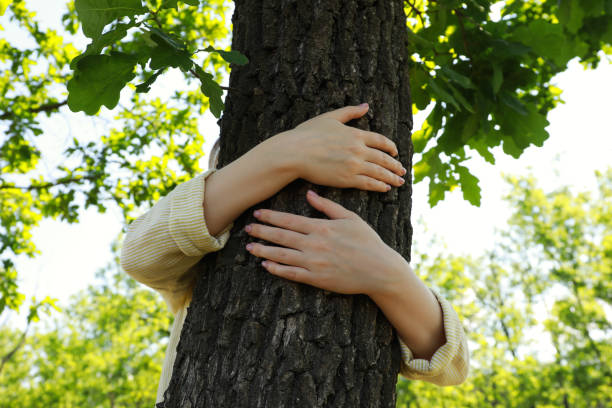 istock Woman hugging tree trunk in forest on sunny day 1327591062