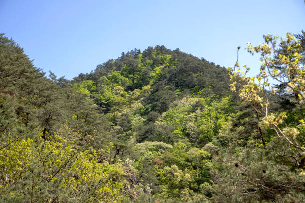 istock Mt. Juwangsan in Kyungsangbukdo 1327591153