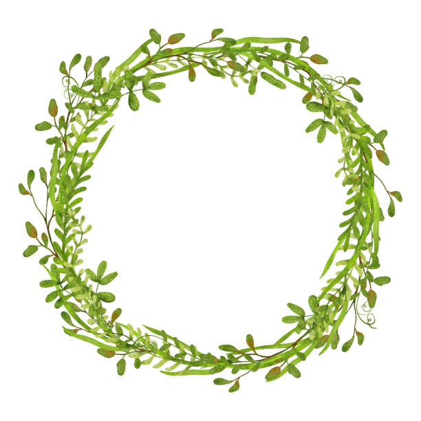 istock Watercolor floral round frame or wreath with greens or herbs isolated on white. Beautiful illustration. Great template for greeting cards, wedding invitations, home art print. Digital art. 1327591420