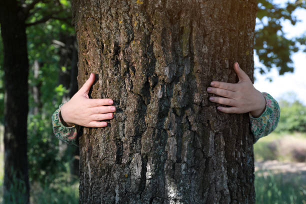 istock Woman hugging tree trunk in forest on sunny day 1327591977