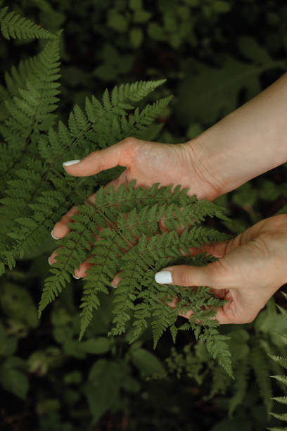 istock Woman's hands are holding fern leaf. Environmental protection concept. 1327596235