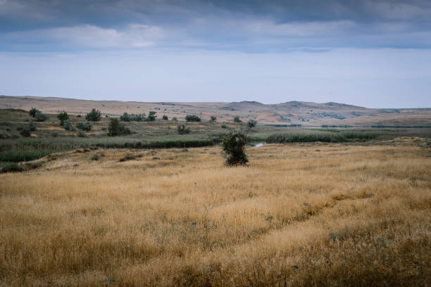 istock Steppe in the summer. Swamp in the steppe 1327601448